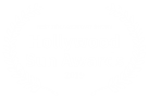 HOLLYWOOD SUN AWARDS 2019 - BEST DOCUMENTARY SHORT - SIX FIGURES, NO SUITS