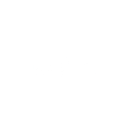 FOX BLOCKS