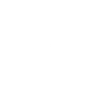 MARTINES PALMEIRO CONSTRUCTION