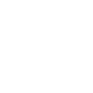 PROJECT ATLAS