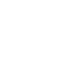 SPEC MIX